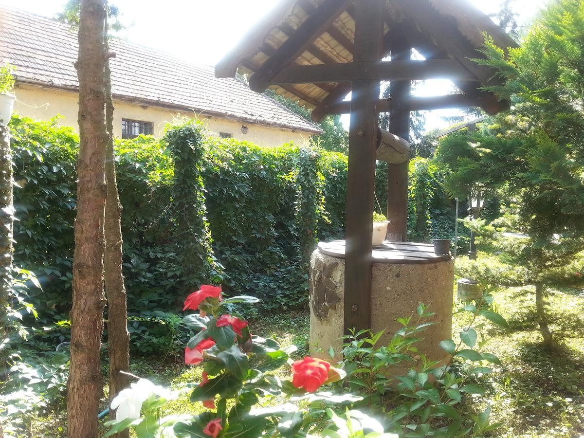 Felso Fogado Bed and Breakfast Felsőtold Buitenkant foto